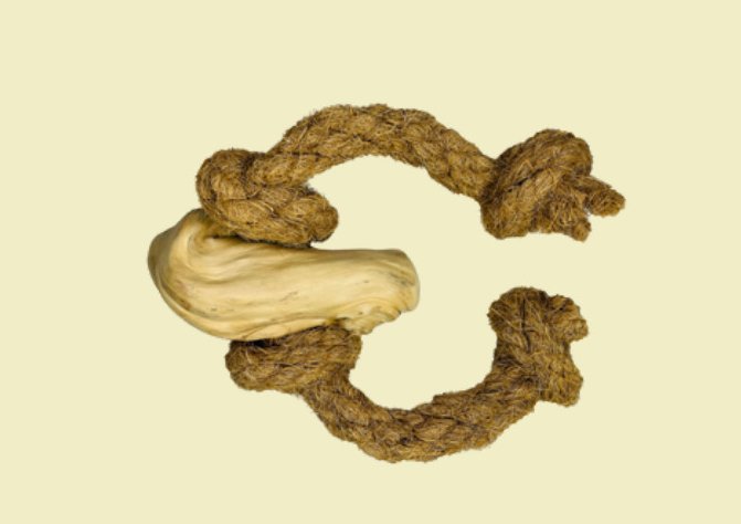Coco Rope Root